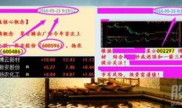 青云谱最新爆料,揭秘神秘势力背后的惊天秘密